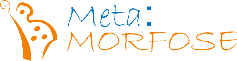 Consultoria Metamorfose